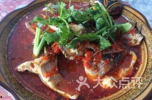 罗非鱼邻居爆料视频,揭秘水下生活点滴  第1张